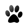 Captcha image 2154
